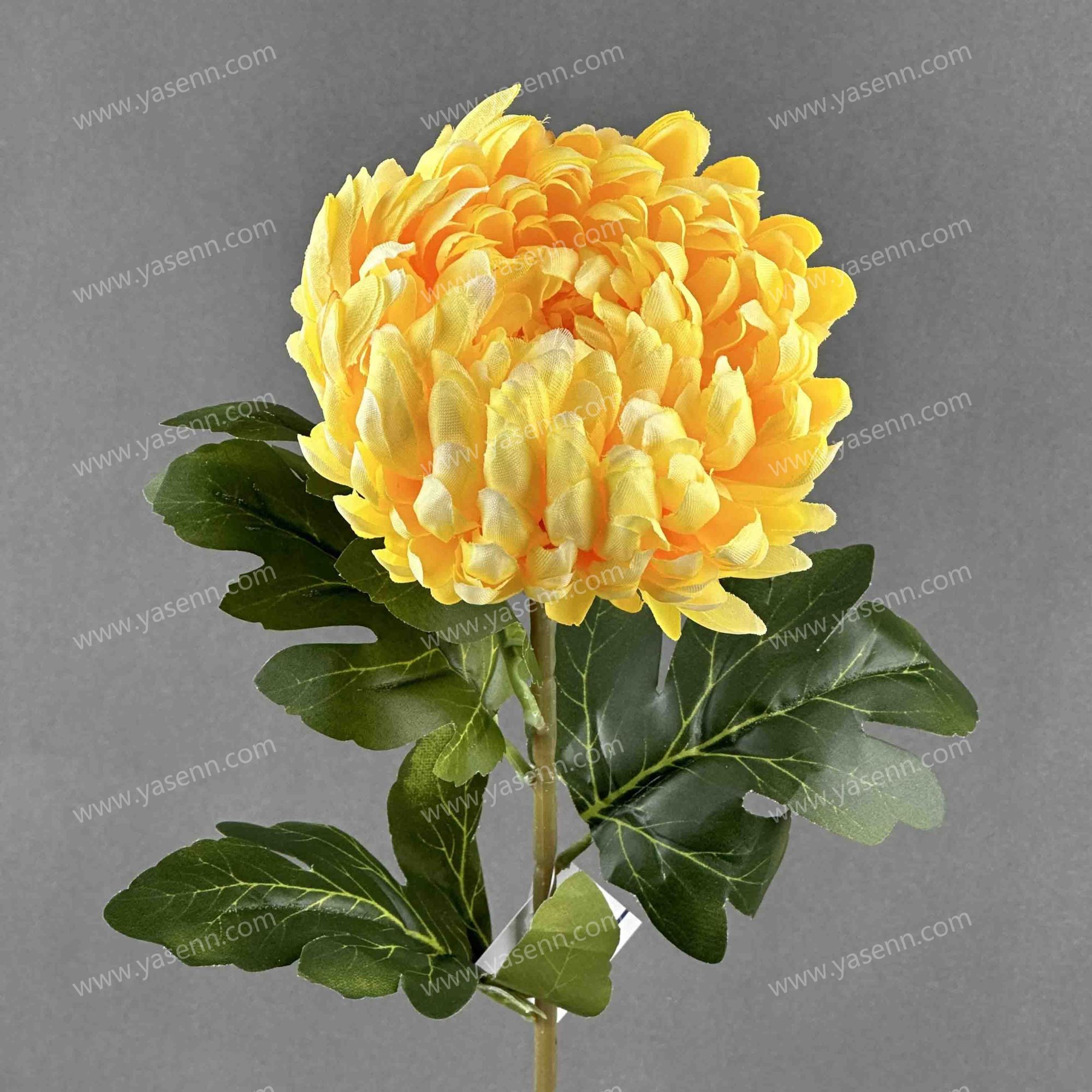 74CM MUM YSZ221006