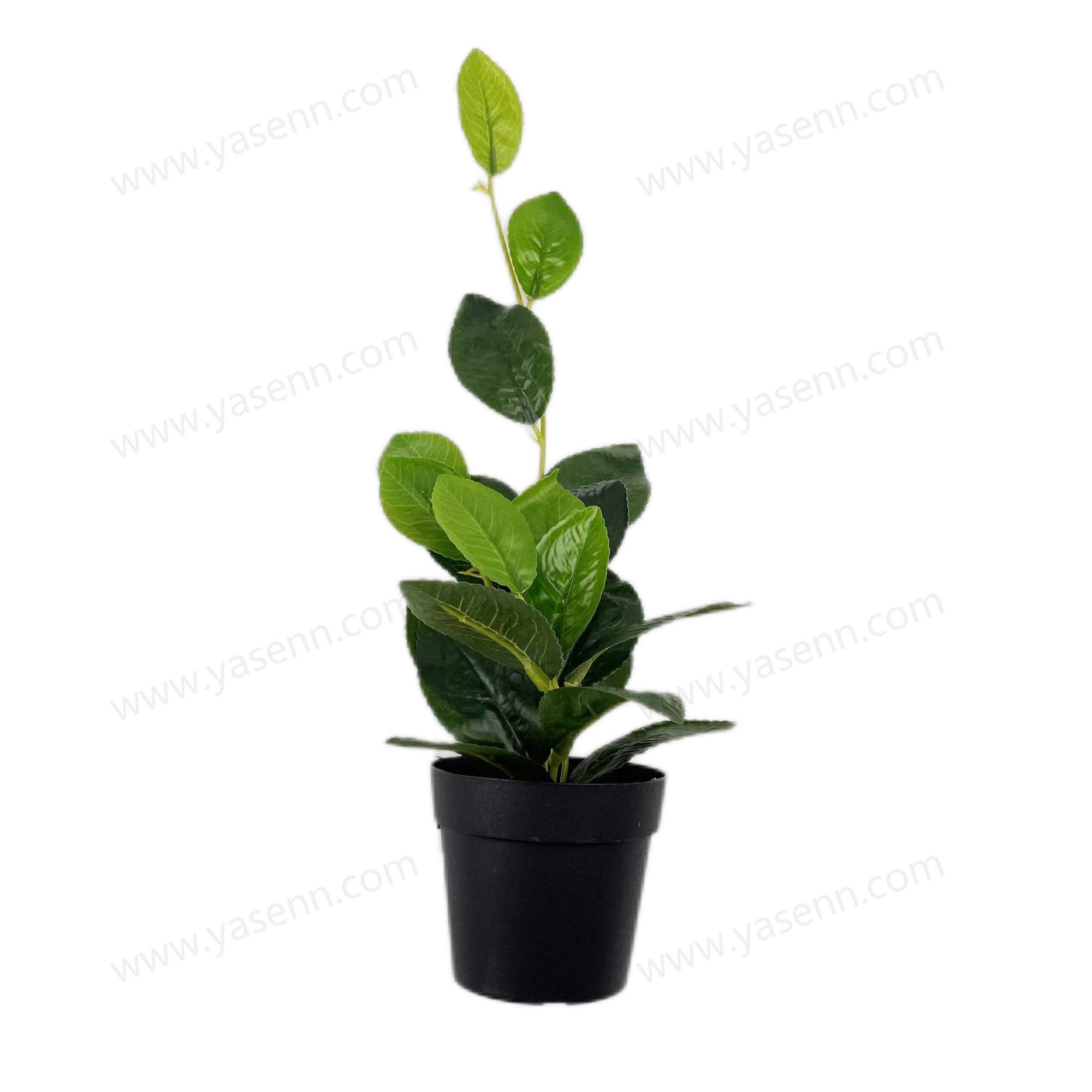 HEIGHT 42CM  20 LEAVES  YSM23065