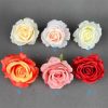 7-LAYER ROSE FLOWER HEAD 20TJ024M