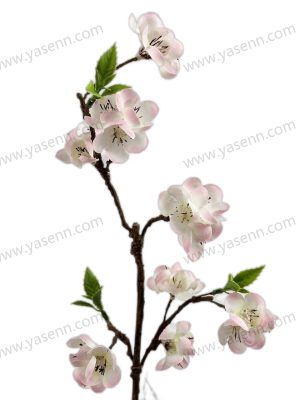 peach blossom