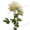60CM mum single artificial flower YSZ18022