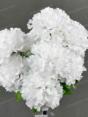 65bd9a6fefe98d179456e96ef0827be2_202407201509516902