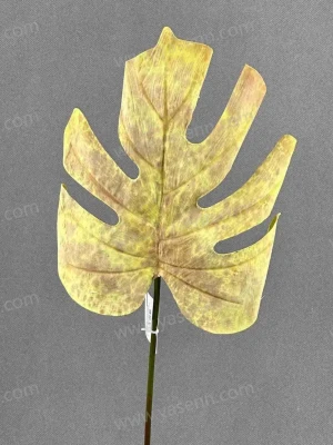 674e84f0595385aff8c751b749ae0354_202407131339425501