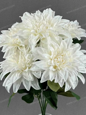 7066513bf78a54acddee00af3331d9ce_202407181657272857