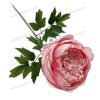 Elegant Peony Stem – Lifelike Floral Accent YSF18017