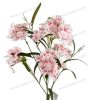 Elegant Dianthus Stem – Lifelike Floral Accent YSF20059