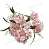 Elegant Dianthus Stem – Lifelike Floral Accent YSF20059