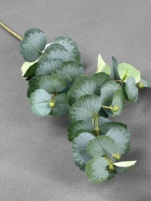 a9d29b03f0a848c3a9f60b5b8678afc7_202407122047524194