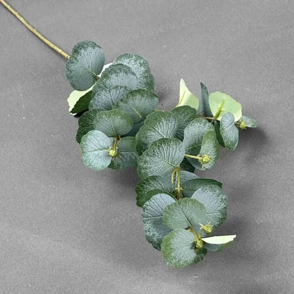 a9d29b03f0a848c3a9f60b5b8678afc7_202407122047524194