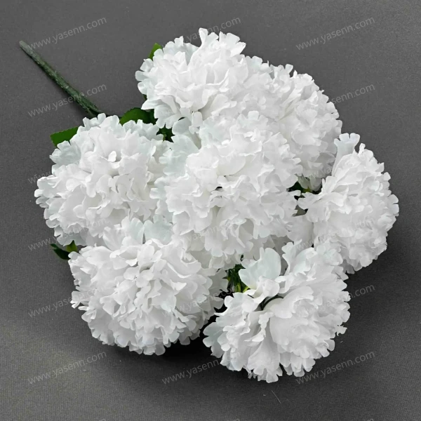 d3683561515971b9a7a30fe04e7f68da_202407201510032702