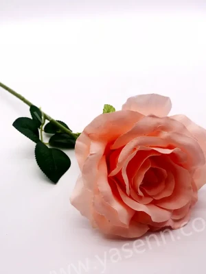 企业微信截图_17706257618769