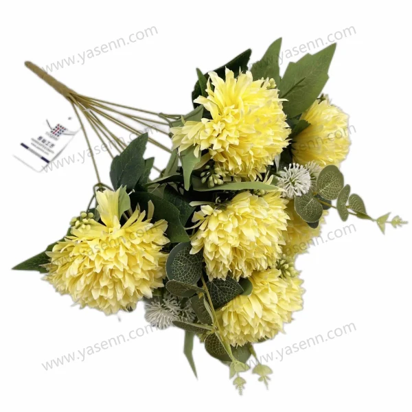 YSB23057_1 YSB23057_1