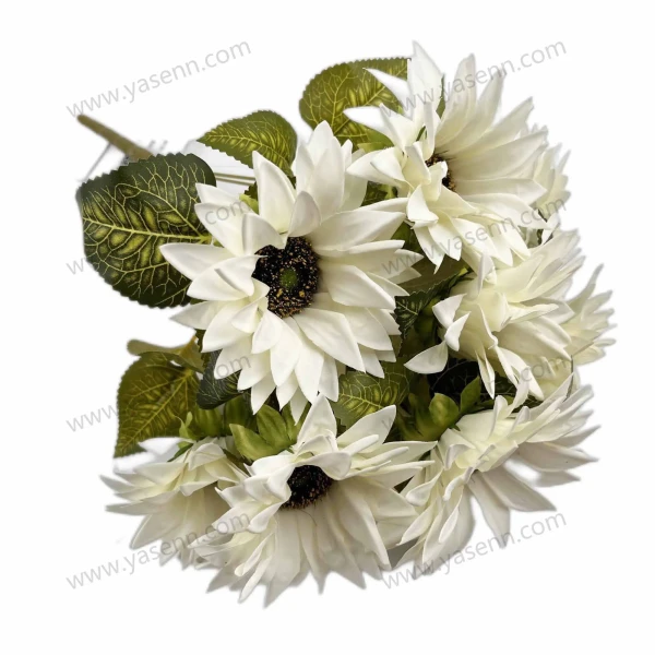 YSB23064_1 YSB23064_1