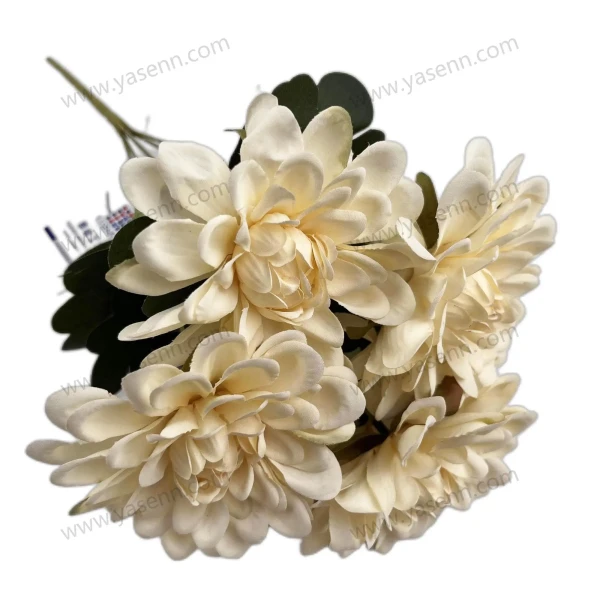 YSB23106_1 YSB23106_1