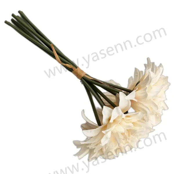 YSB23136_1 YSB23136_1