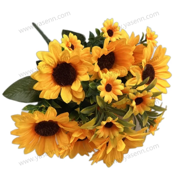 YSB23149_1 YSB23149_1