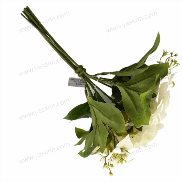 YSB23200_1 YSB23200_1