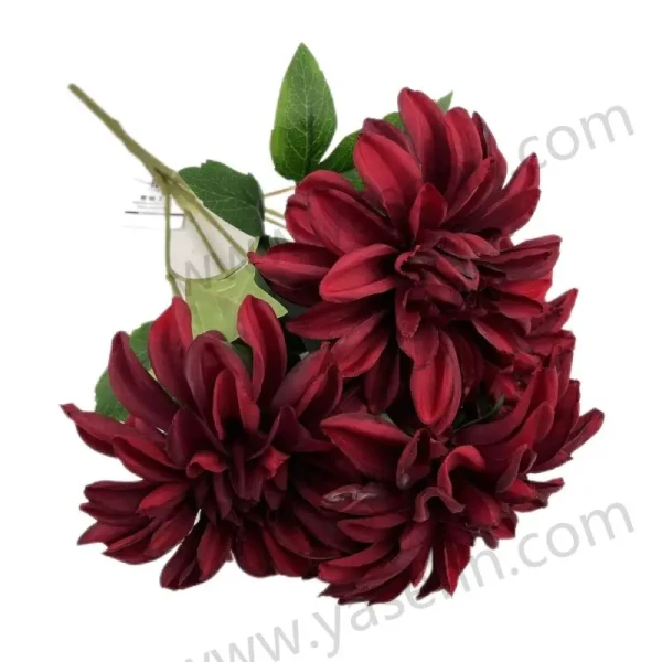 YSB23213_1 YSB23213_1