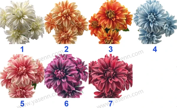 YSB23213_色卡 YSB23213_色卡