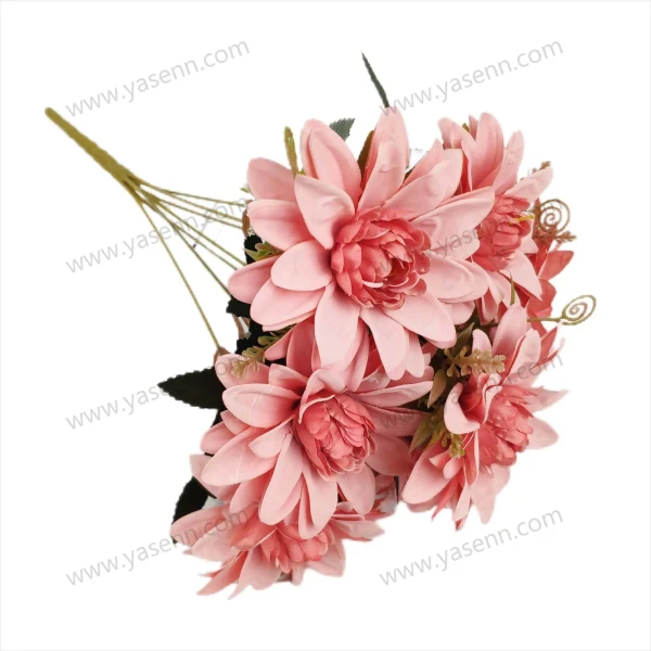 YSB23362_1 YSB23362_1