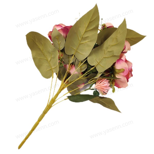 YSB23457_1 YSB23457_1