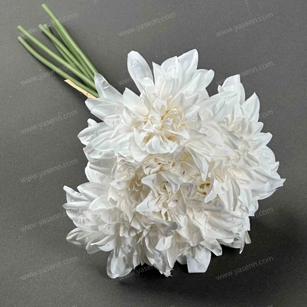 YSB23558_1 YSB23558_1