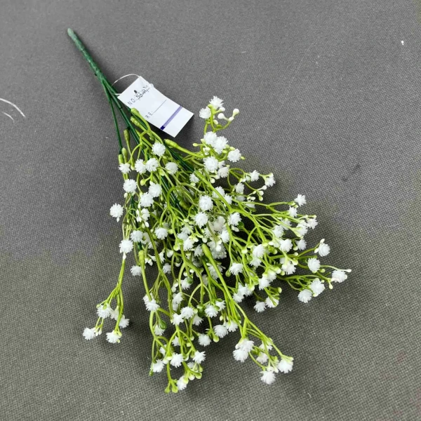 YSB24070_1 YSB24070_1