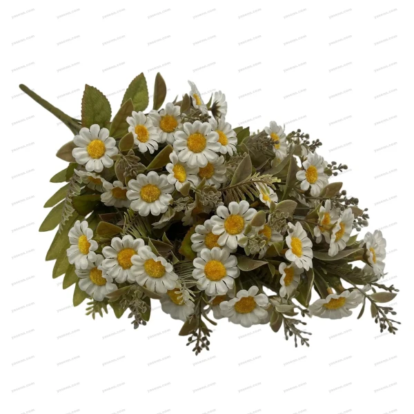 YSF25022_1 YSF25022_1