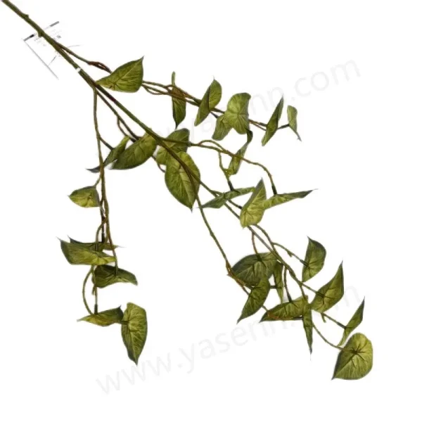 YSL23068_1 YSL23068_1