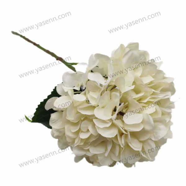 YSS23092_1 YSS23092_1