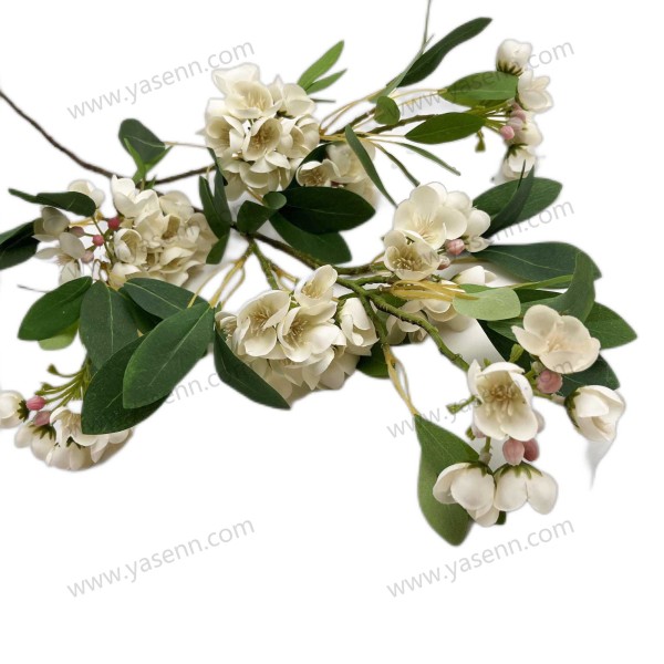 YSS23179_1 YSS23179_1