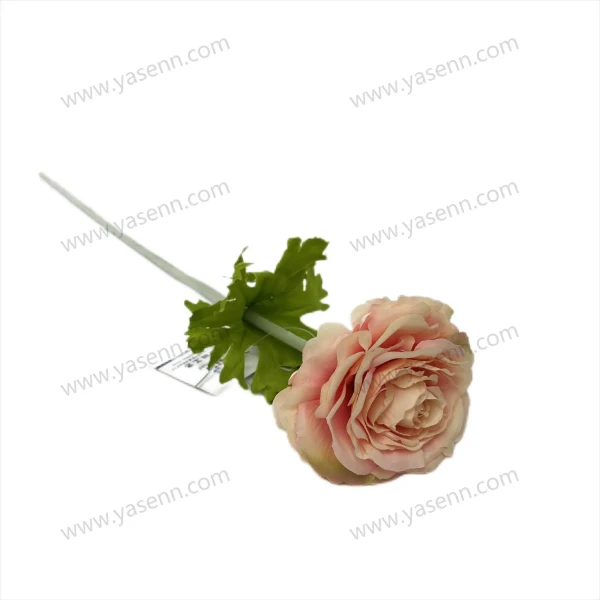 YSS23351_1 YSS23351_1