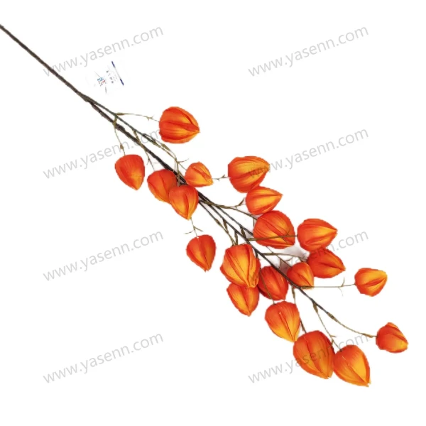 YSS23358_1 YSS23358_1