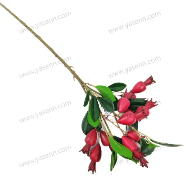 YSS23370_1 YSS23370_1