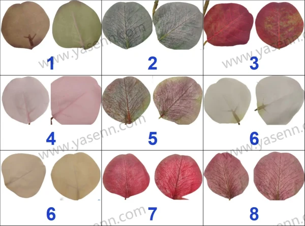 YSS23755_色卡 YSS23755_色卡