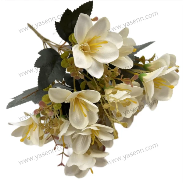 YSZ19107_1 YSZ19107_1