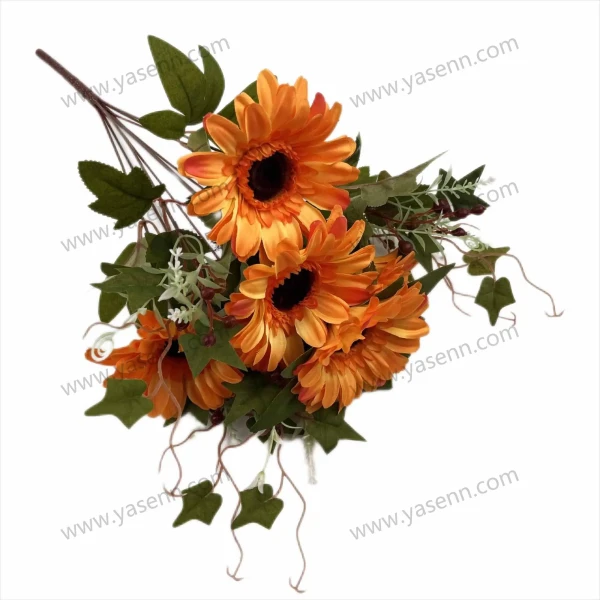 YSZ19131_1 YSZ19131_1