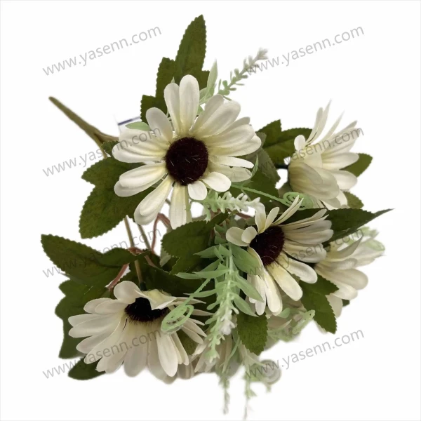 YSZ19132_1 YSZ19132_1