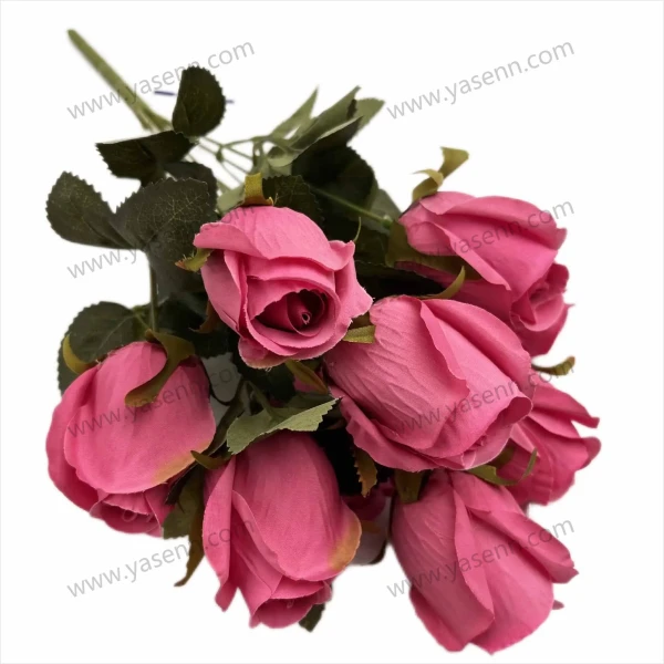 YSZ19190_1 YSZ19190_1