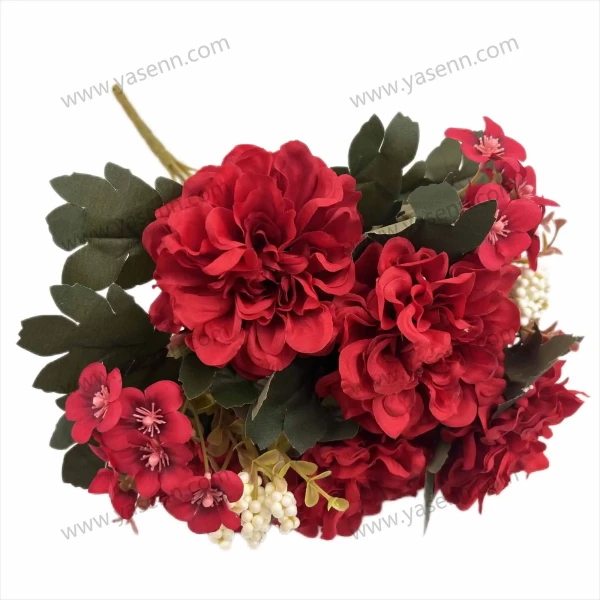 YSZ19193_1 YSZ19193_1