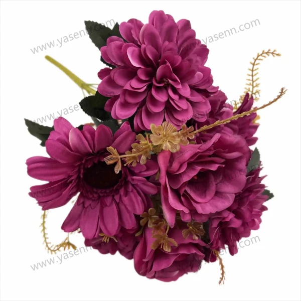 YSZ20077_1 YSZ20077_1