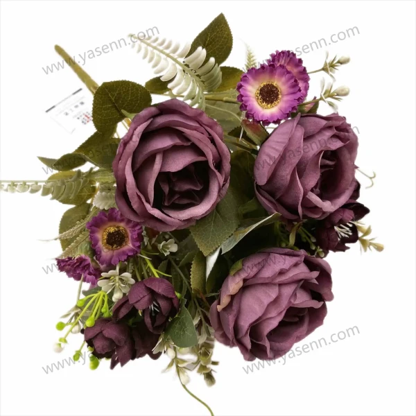 YSZ20269_1 YSZ20269_1