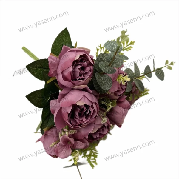 YSZ20272_1 YSZ20272_1