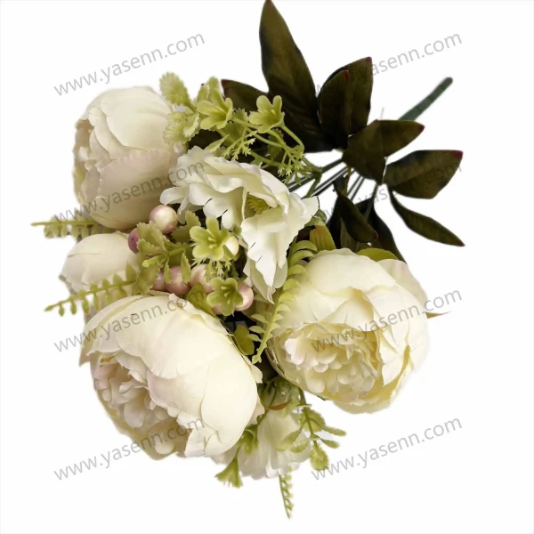 YSZ22036_1 YSZ22036_1