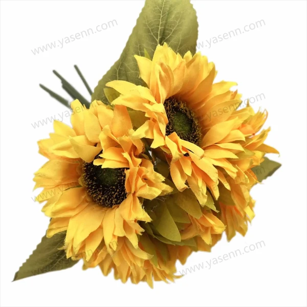 YSZ22177_1 YSZ22177_1