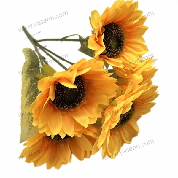 YSZ22179_1 YSZ22179_1