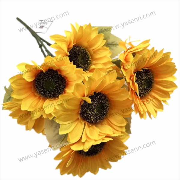 YSZ22181_1 YSZ22181_1