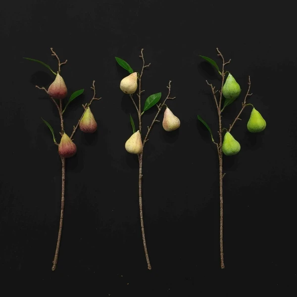 YSS24166_色卡 YSS24166_色卡