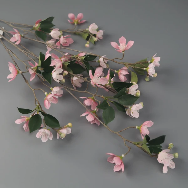 YSS25048A_1 YSS25048A_1