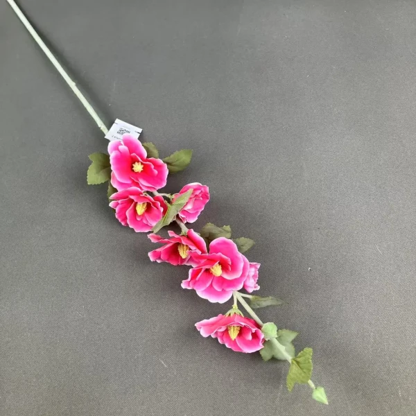 YSS25087_1 YSS25087_1